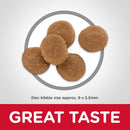 Hill's Science Diet Sensitive Stomach & Skin Adult Dry Cat Food