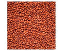 Avigrain Pigeon Milo (sorghum) 20kg * Store Pick Up Or Local Delivery Only *