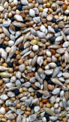 Avigrain Finch Mix 20kg Bird Seed * Store Pick Up Or Local Delivery Only *