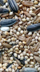 Avigrain Peachface Mix 20kg Bird Seed * Store Pick Up Or Local Delivery Only *