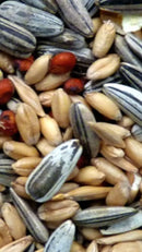 Avigrain Cocky Mix 20kg Bird Seed * Store Pick Up Or Local Delivery Only *