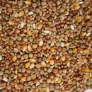 Jm Produce Pigeon Stock Mix With Popcorn 25kg Pigeon Feed * Store Pick Up Or Local Delivery Only *