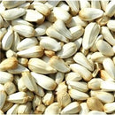 Avigrain Pigeon Safflower 15kg Bird Seed * Store Pick Up Or Local Delivery Only *