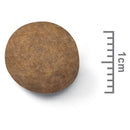 Royal Canin Maxi Dog Food Puppy