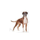 Royal Canin Dog Food Boxer 12kg