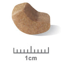 Royal Canin Dog Food Shih Tzu Puppy 1.5kg