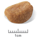 Royal Canin Dog Food Rottweiler Puppy 12kg