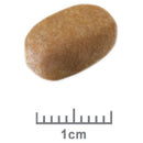 Royal Canin Dog Food Maltese 1.5kg