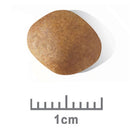 Royal Canin Dog Food Miniature Schnauzer Puppy 1.5kg