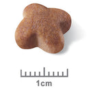 Royal Canin Dog Food Jack Russell Terrier