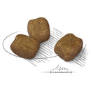 Royal Canin Dog Mini Dog Food Dental Care 3kg