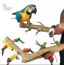 Nino's Java Bird Toys Multi Branch With Toys Medium