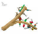 Nino's Java Bird Toys Multi Branch With Toys Medium