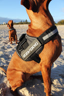 Ezy Dog Convert Harness Black