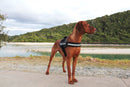 Ezy Dog Convert Harness Black