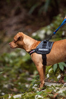 Ezy Dog Convert Harness Black