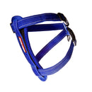 Ezy Dog Chest Plate Harness