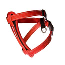 Ezy Dog Chest Plate Harness