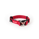 Ezy Dog Double Up Collar