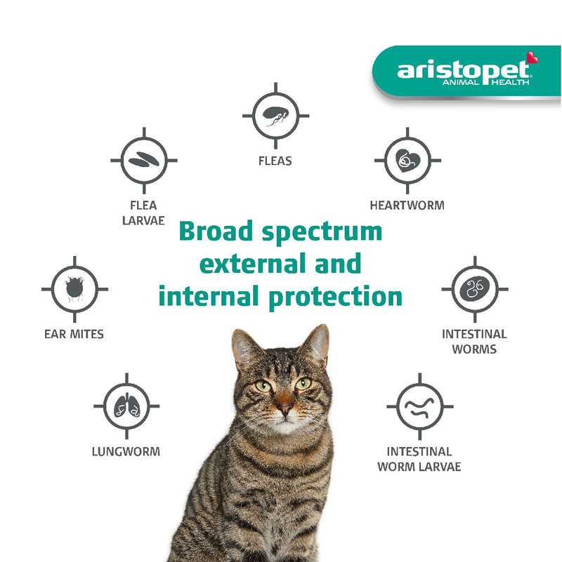 Aristopet Spot On For Kittens & Small Cats Up To 4kg Fleas Heartworms & Worms