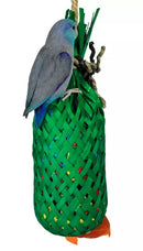 Nino's Java Bird Toys Pineapple Forage Large