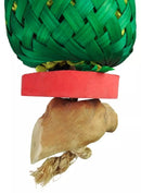 Nino's Java Bird Toys Pineapple Forage Large