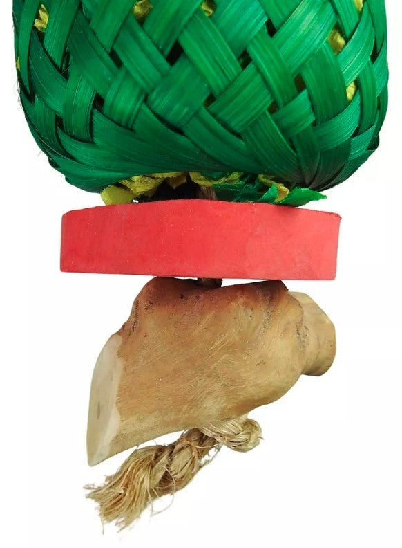 Nino's Java Bird Toys Pineapple Forage Large