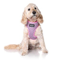 DOOG NEOFLEX SOFT DOG HARNESS LUNA MEDIUM