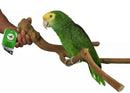 Nino's Java Bird Toys Multi Branch