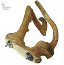 Nino's Java Bird Toys Multi Branch