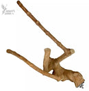 Nino's Java Bird Toys Multi Branch