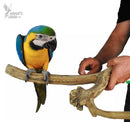 Nino's Java Bird Toys Multi Branch