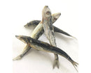 Freeze Dried Sardines 80g