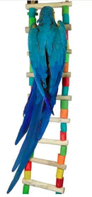 Nino's Java Bird Toys Giant Ladder