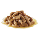 Royal Canin Mini Wet Dog Food Puppy Pouches 12 X 85g