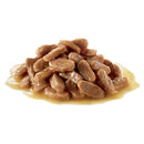 Royal Canin Wet Cat Food Kitten Gravy 12 X 85g