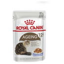 Royal Canin Wet Cat Food Ageing +12 Jelly 12 X 85g