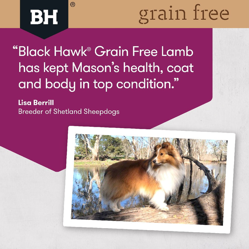 Black Hawk Adult Dog Grain Free Lamb