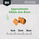 Black Hawk Kitten Chicken & Rice