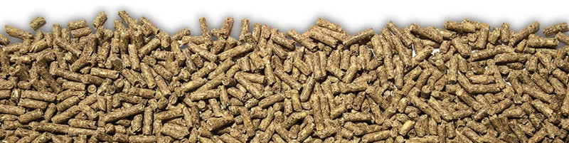 Jack Rabbit Ol'jacks Rabbit & Guinea Pig Micro Pellets 10kg * Store Pick Up Or Local Delivery Only *