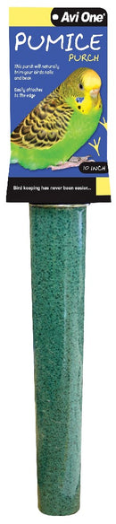 Avi One Pumice Perch 10 Inch Green