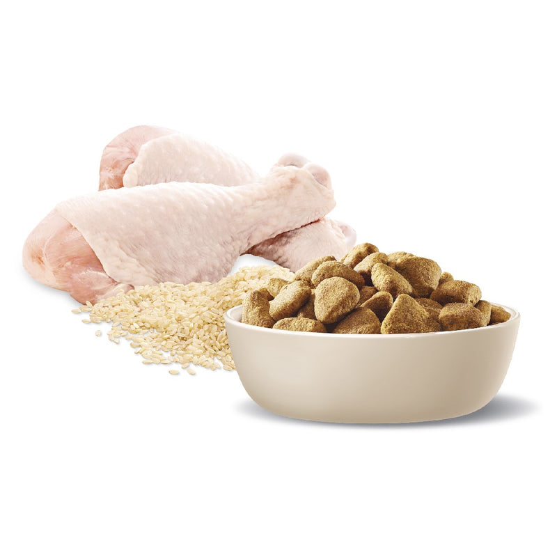 Advance Adult Dog Large Breed Healthy Weight Chicken 13kg