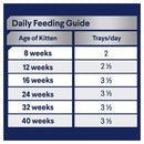 Advance Kitten Trays Wet Food Chicken & Salmon 7 X 85g