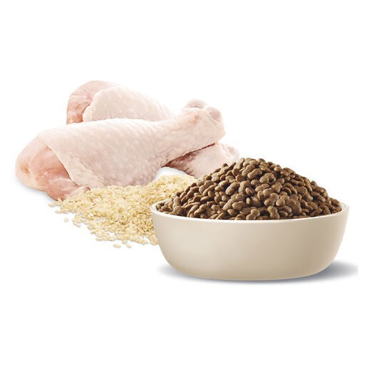 Advance Adult Dog Food Toy And Small Breed Chicken
