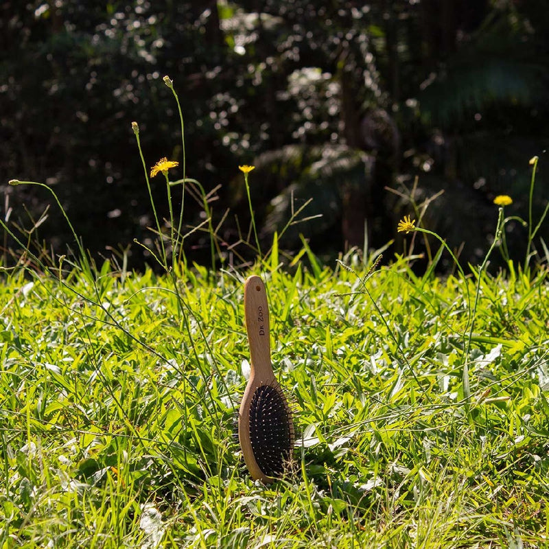 Dr Zoo Bamboo Grooming Brush