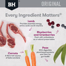 Black Hawk Puppy Medium Breed Lamb & Rice