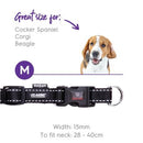 Kazoo Nylon Adjustable Collar Black