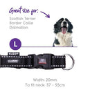 Kazoo Nylon Adjustable Collar Black