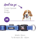 Kazoo Nylon Adjustable Collar Blue