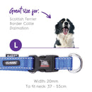 Kazoo Nylon Adjustable Collar Blue